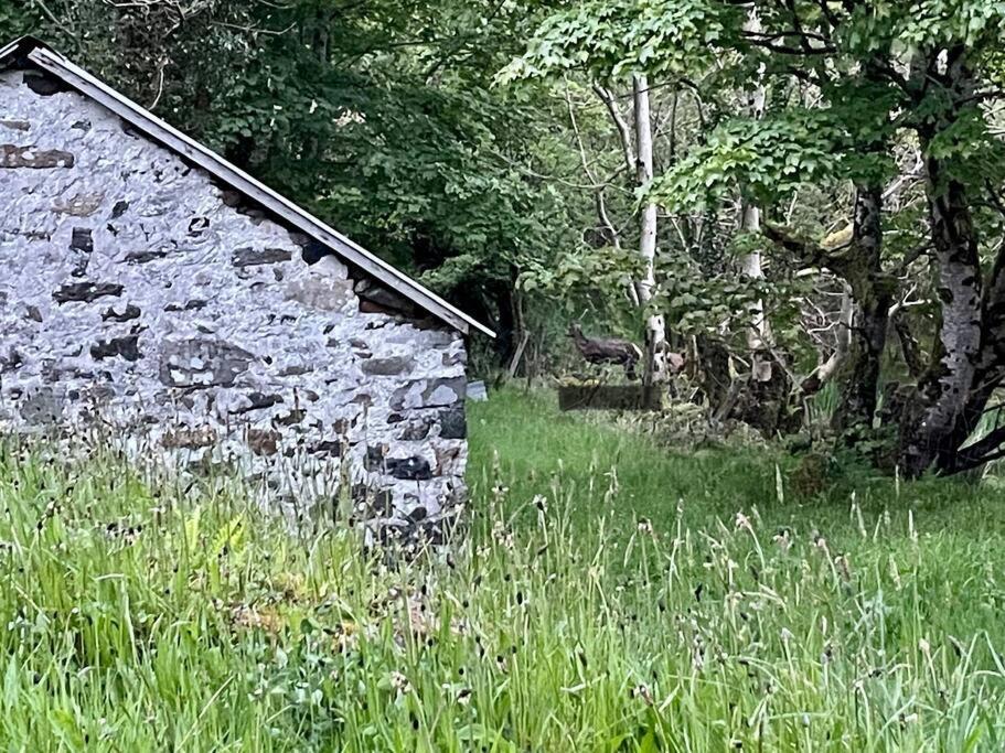 John The Mills Cottage Spahot Tub Private Beach Donegal Town المظهر الخارجي الصورة